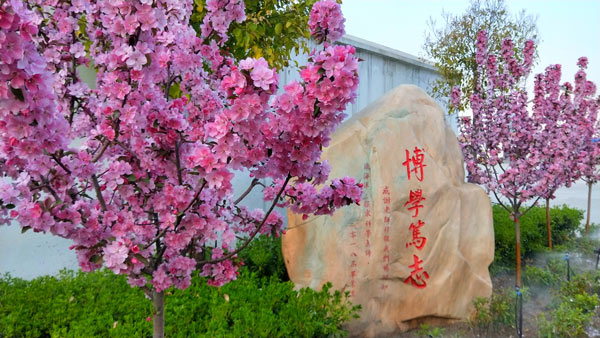 春天校園風(fēng)景